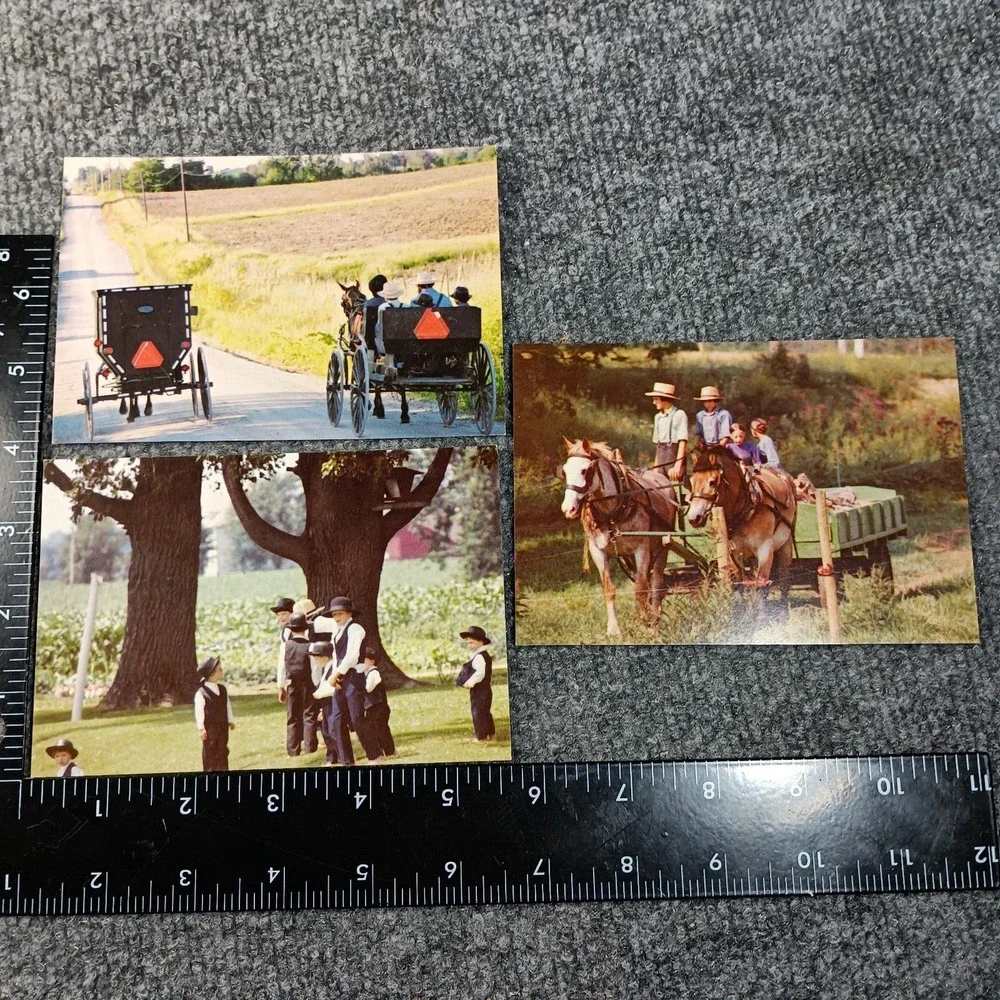 Amish Postcards Set of 3 Horse Buggy Farm Life John‎ M Zielinski Photography VTG
